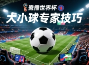 世界杯大小球专家技巧