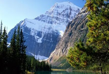 关于CBA常规赛：浙江广厦主场以110：80大胜深圳男篮，展现强势实力的信息